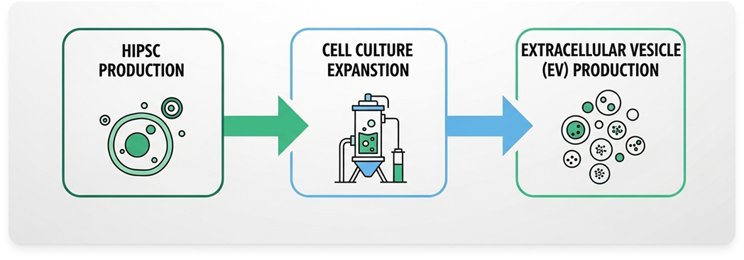 Microscope Icon